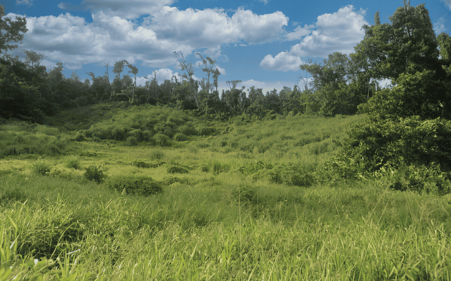 land_for_sale-001