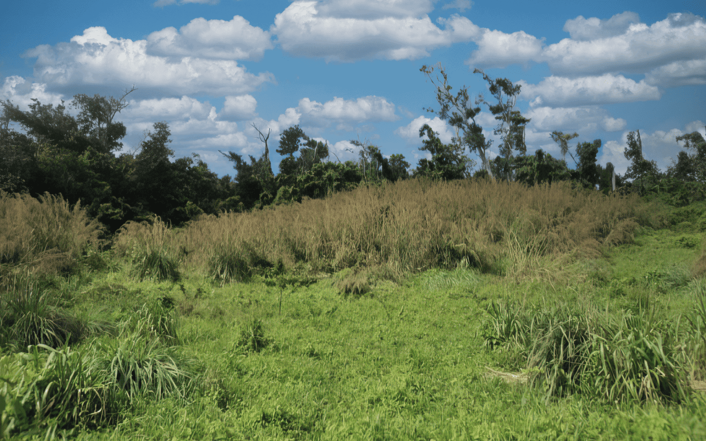 land_for_sale-004