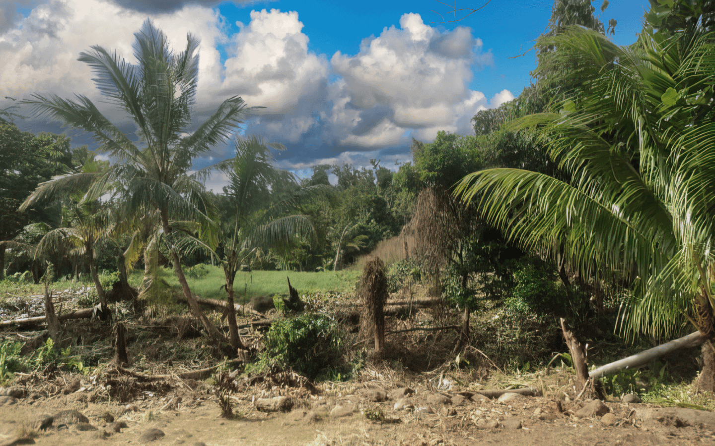 land_for_sale-007