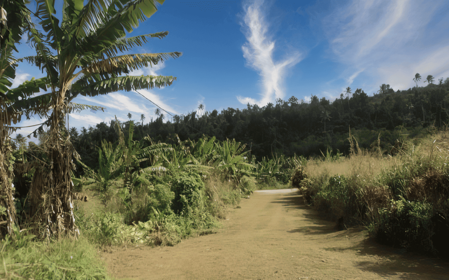 land_for_sale-008