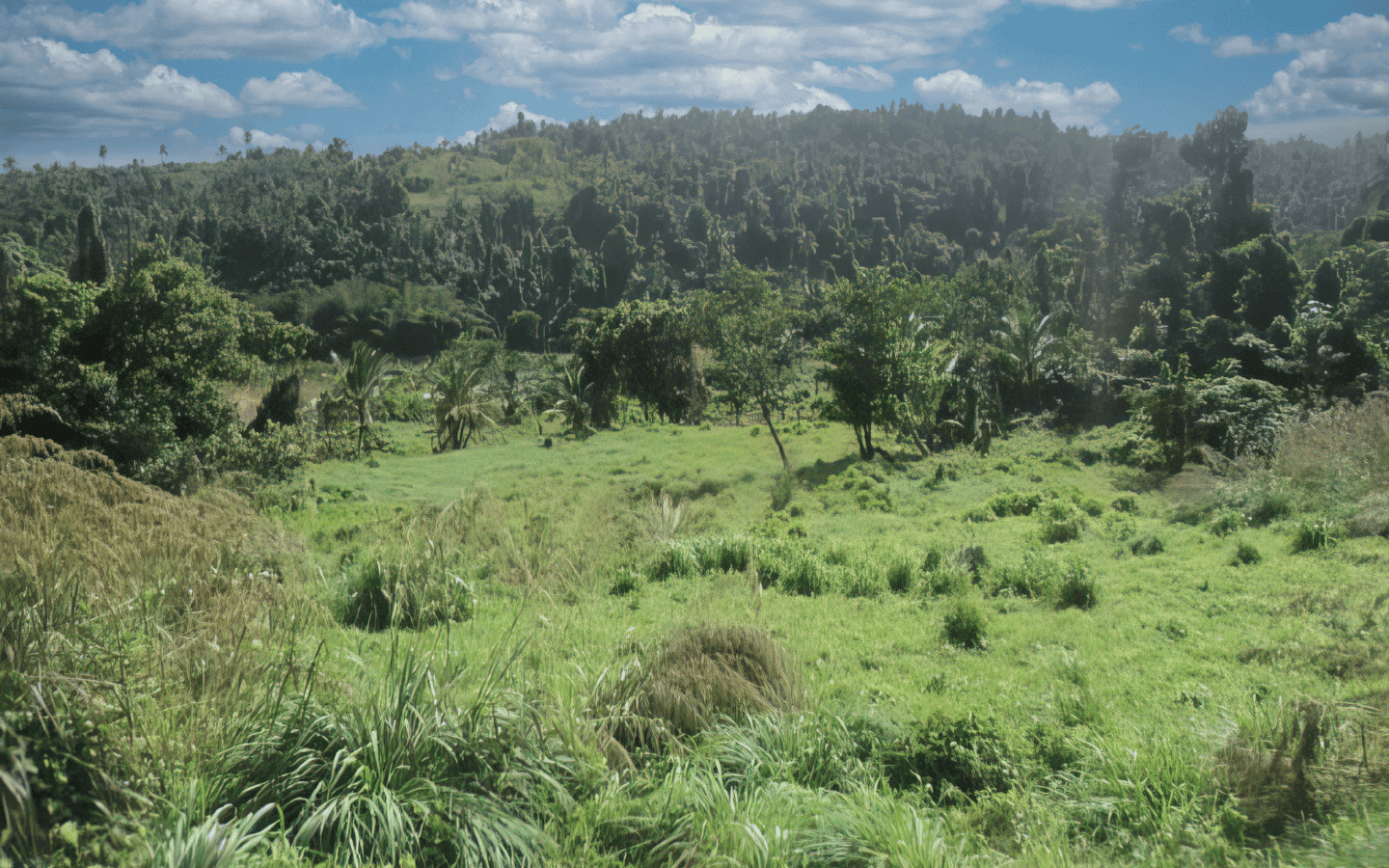 land_for_sale-011