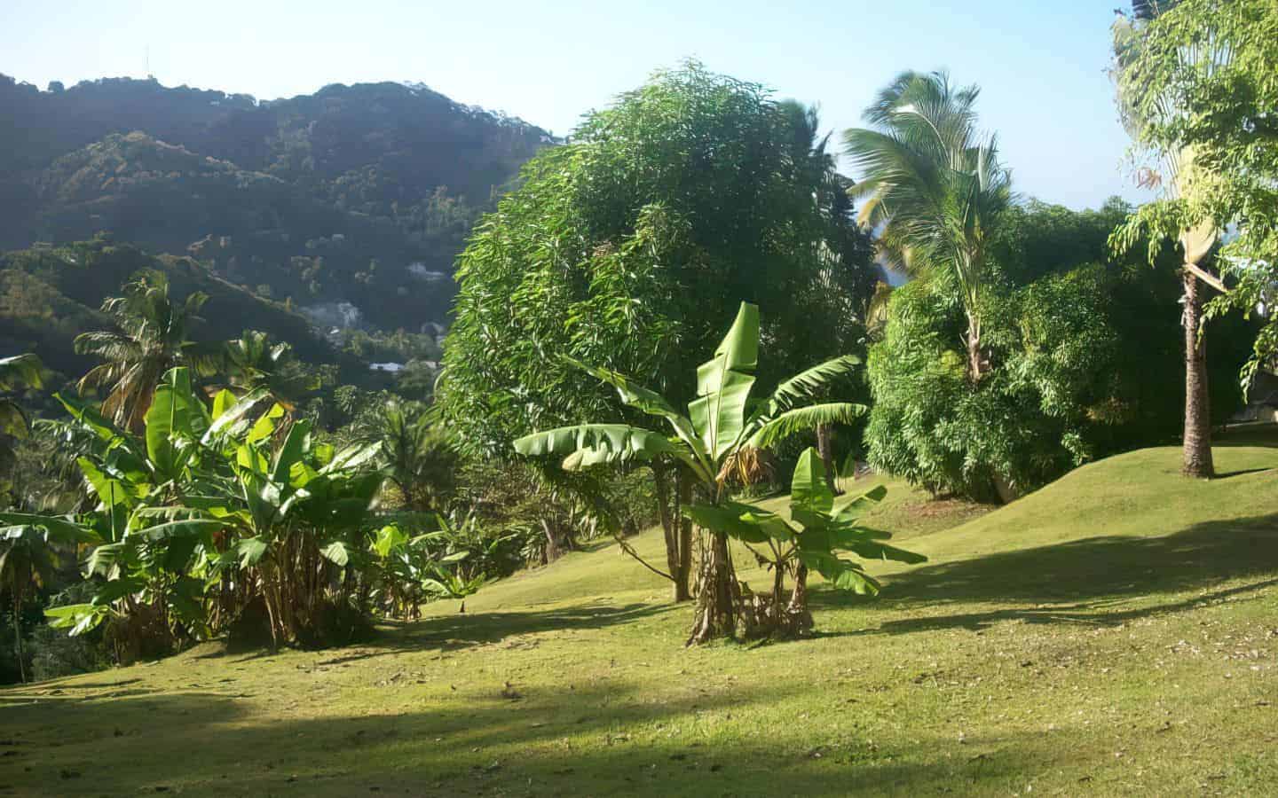 landscaped-grounds-2-