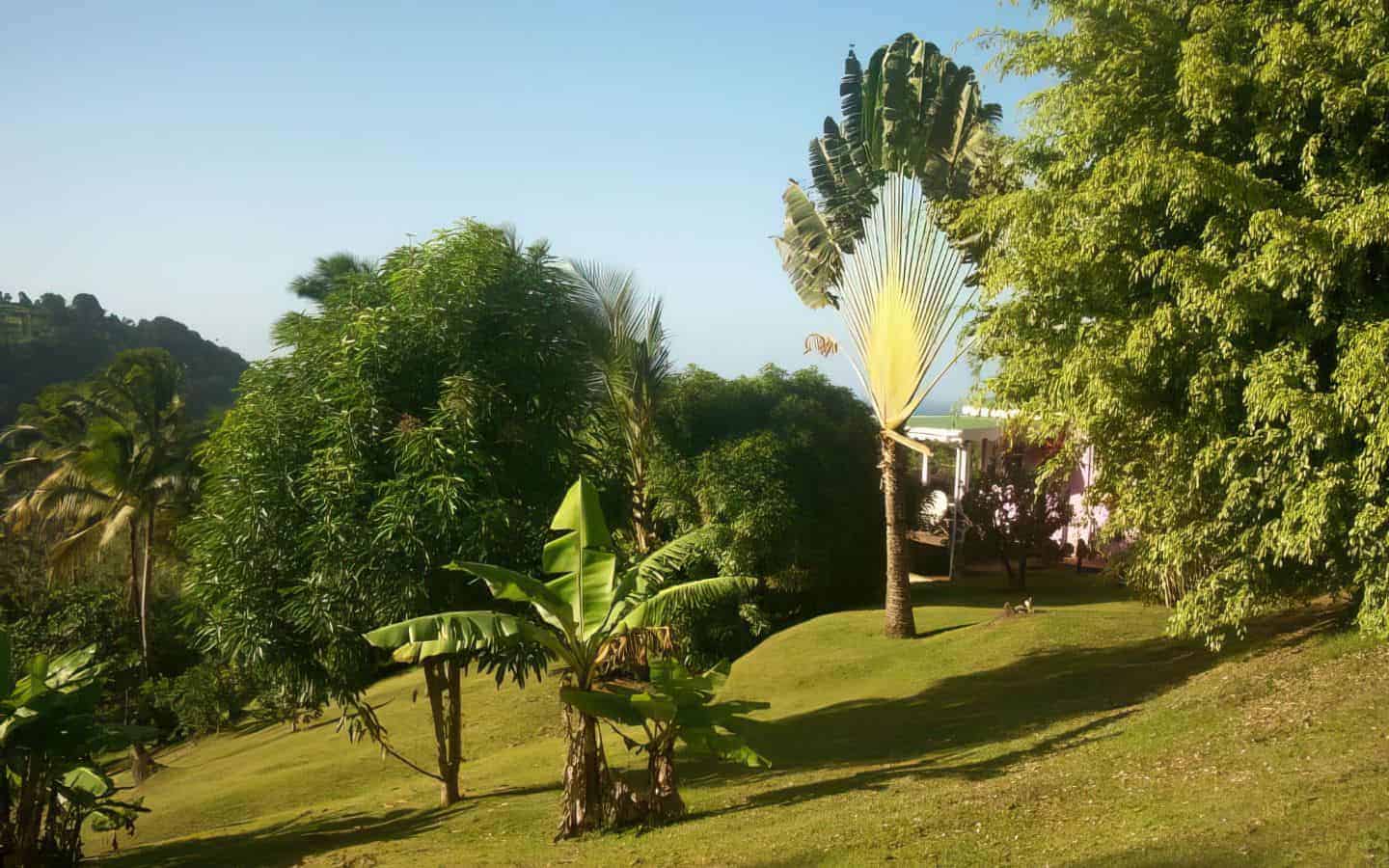 landscaped-grounds-3-