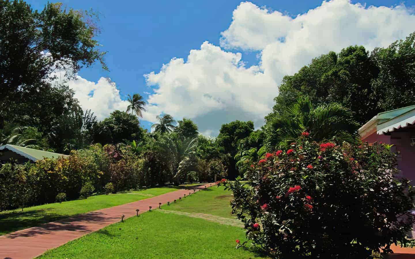 pathway_1-1-