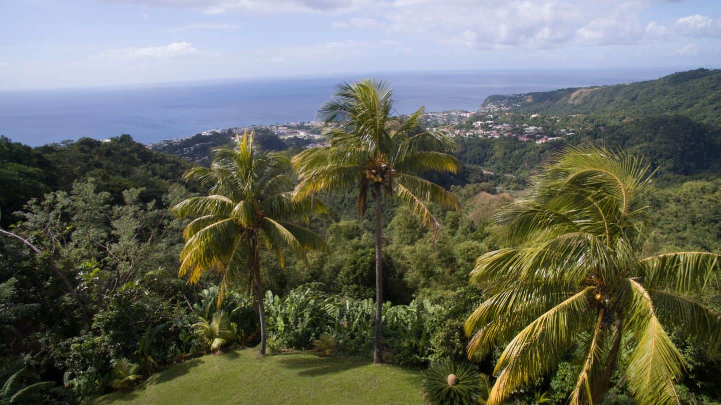 Villa for Sale at Eggleston | Realty Dominica