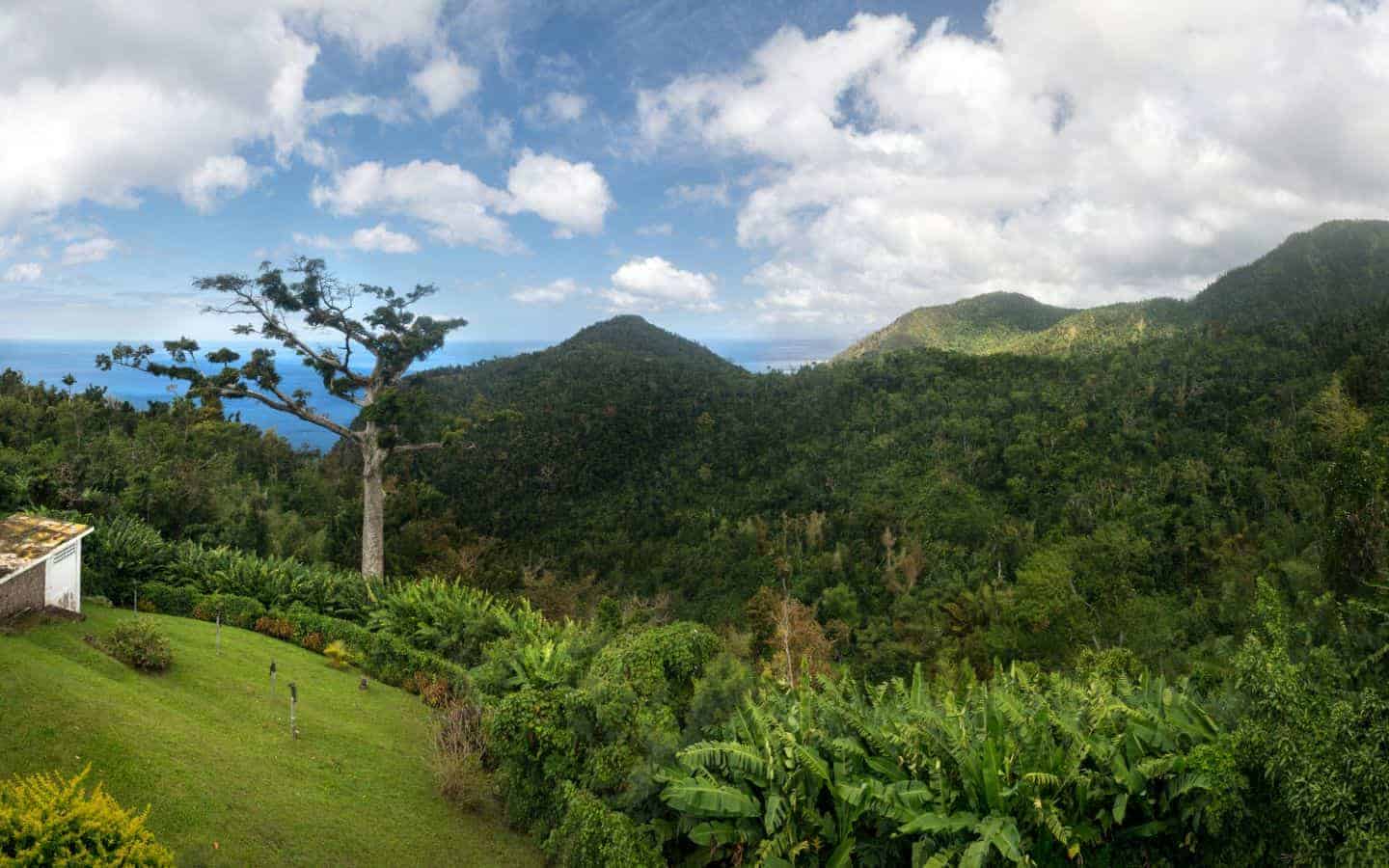 South Chiltern Estate House For Sale Realty Dominica