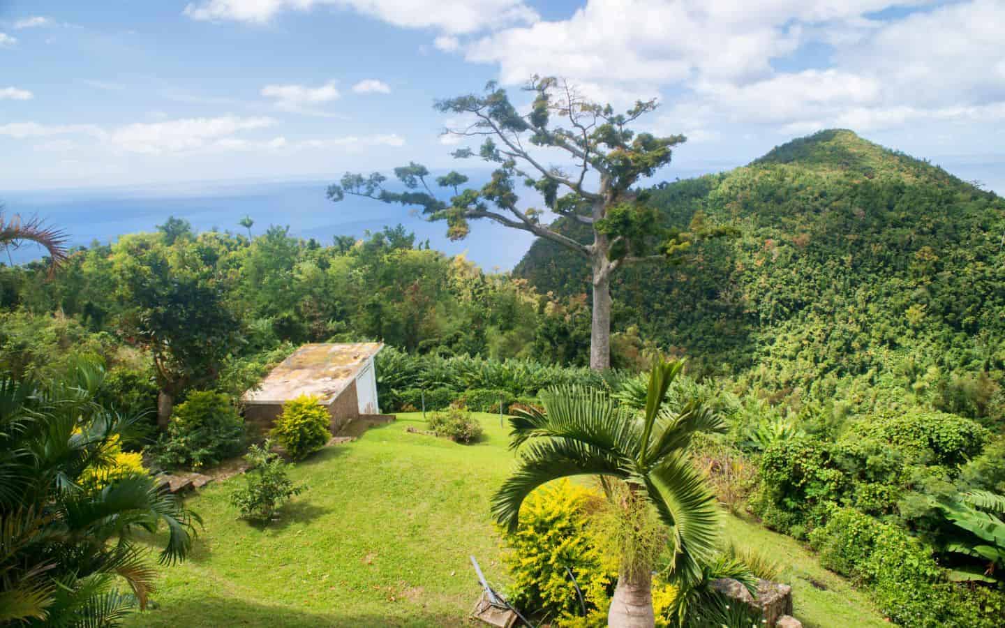Garden-view-5