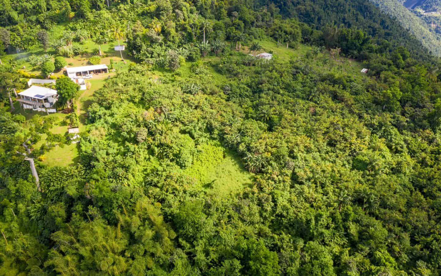 House-from-above-11