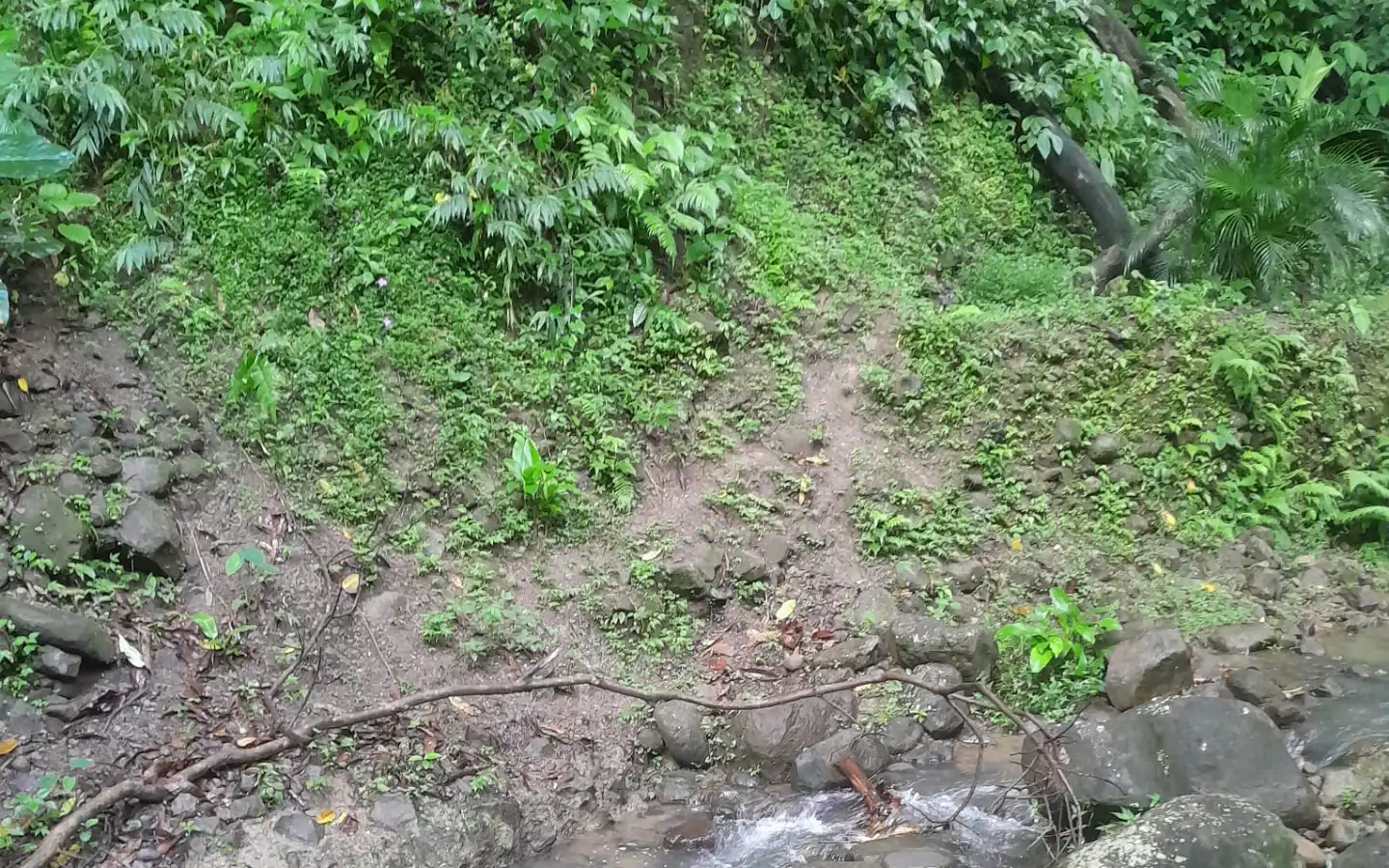 River_2