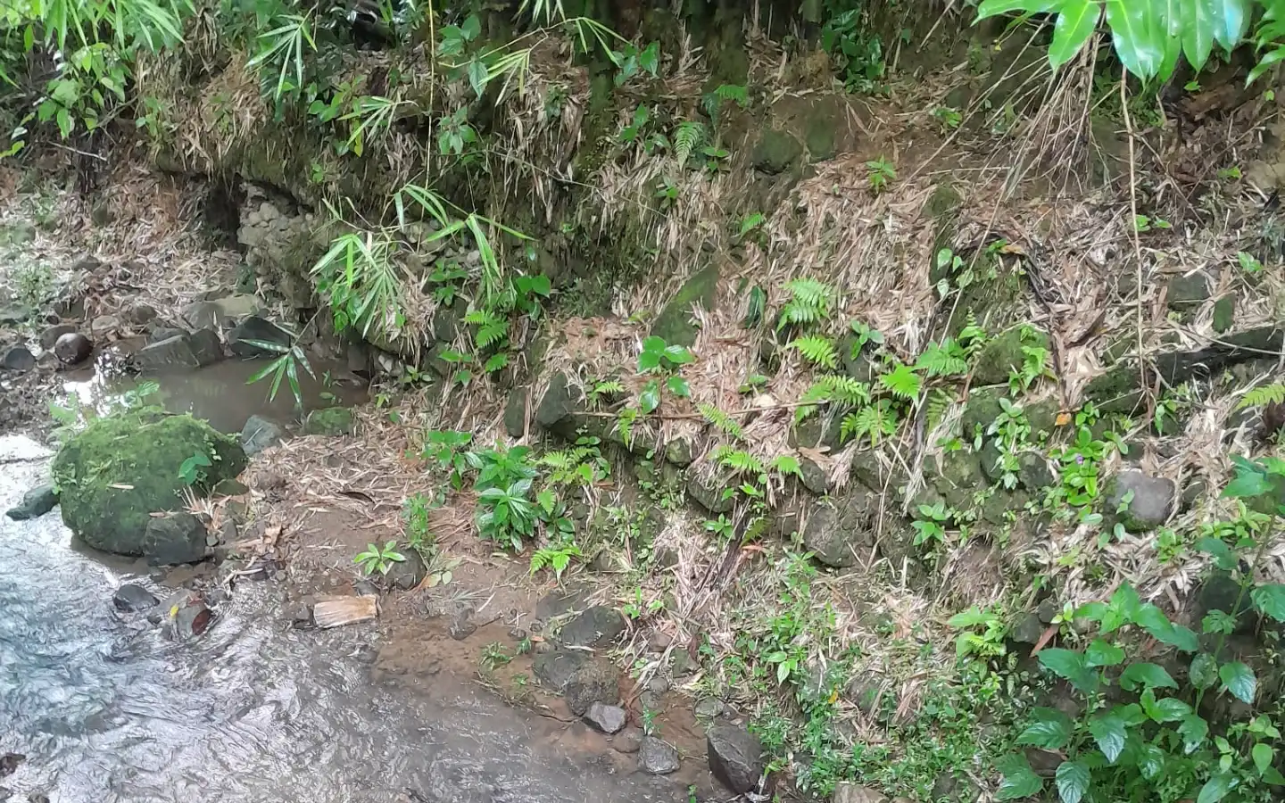 River_4