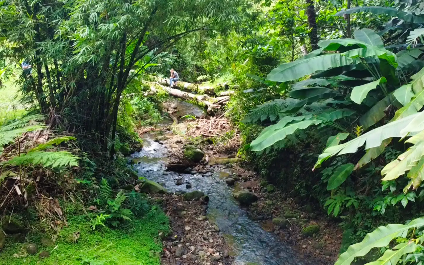 river-1