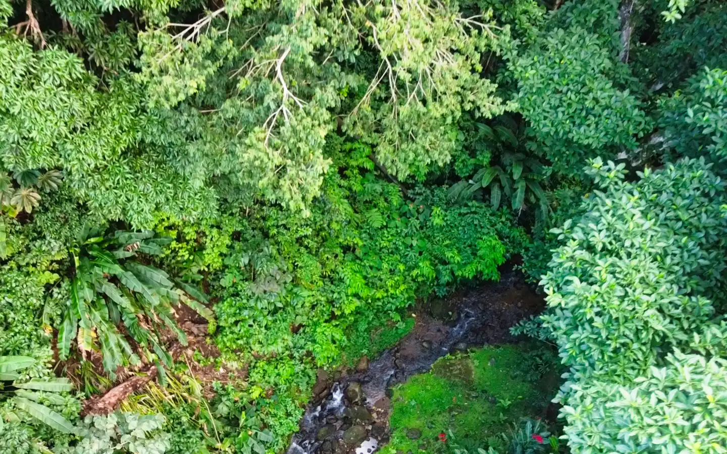 river-2