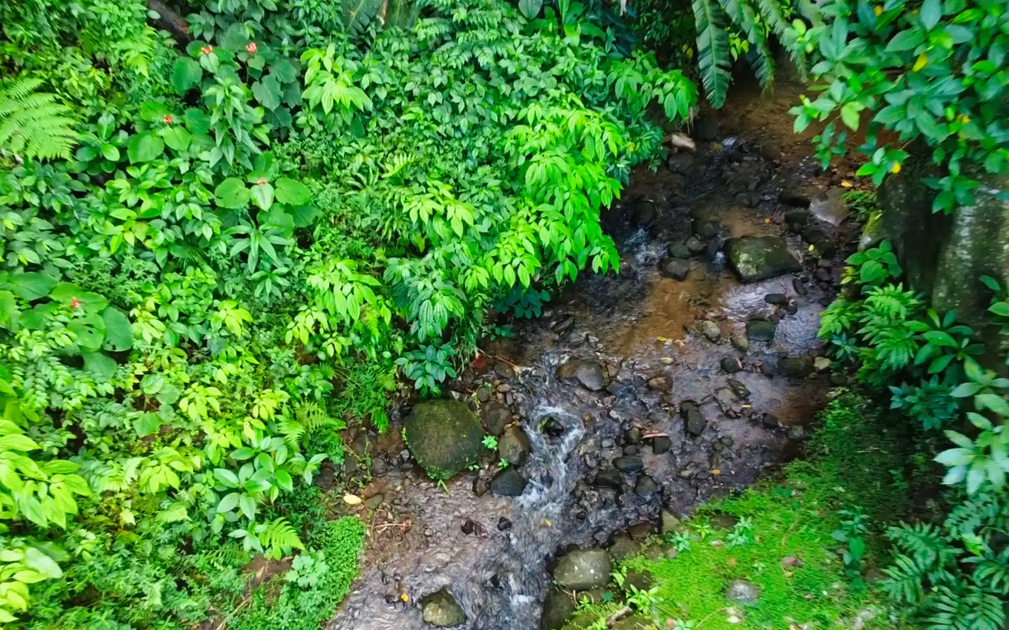river