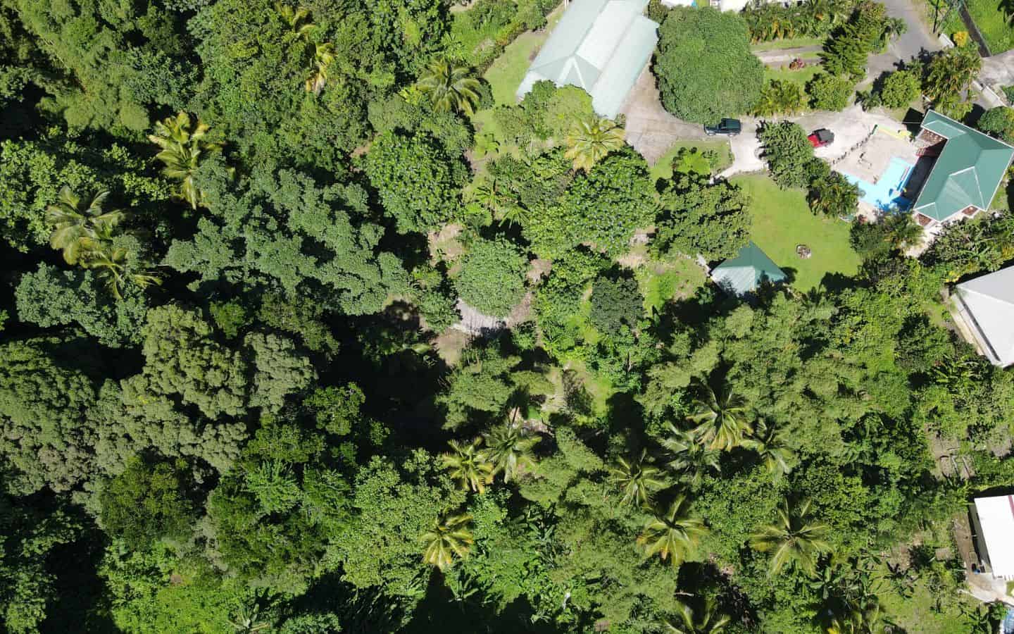 trafalgar_property-027