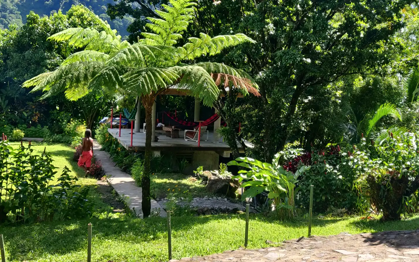 yard_3