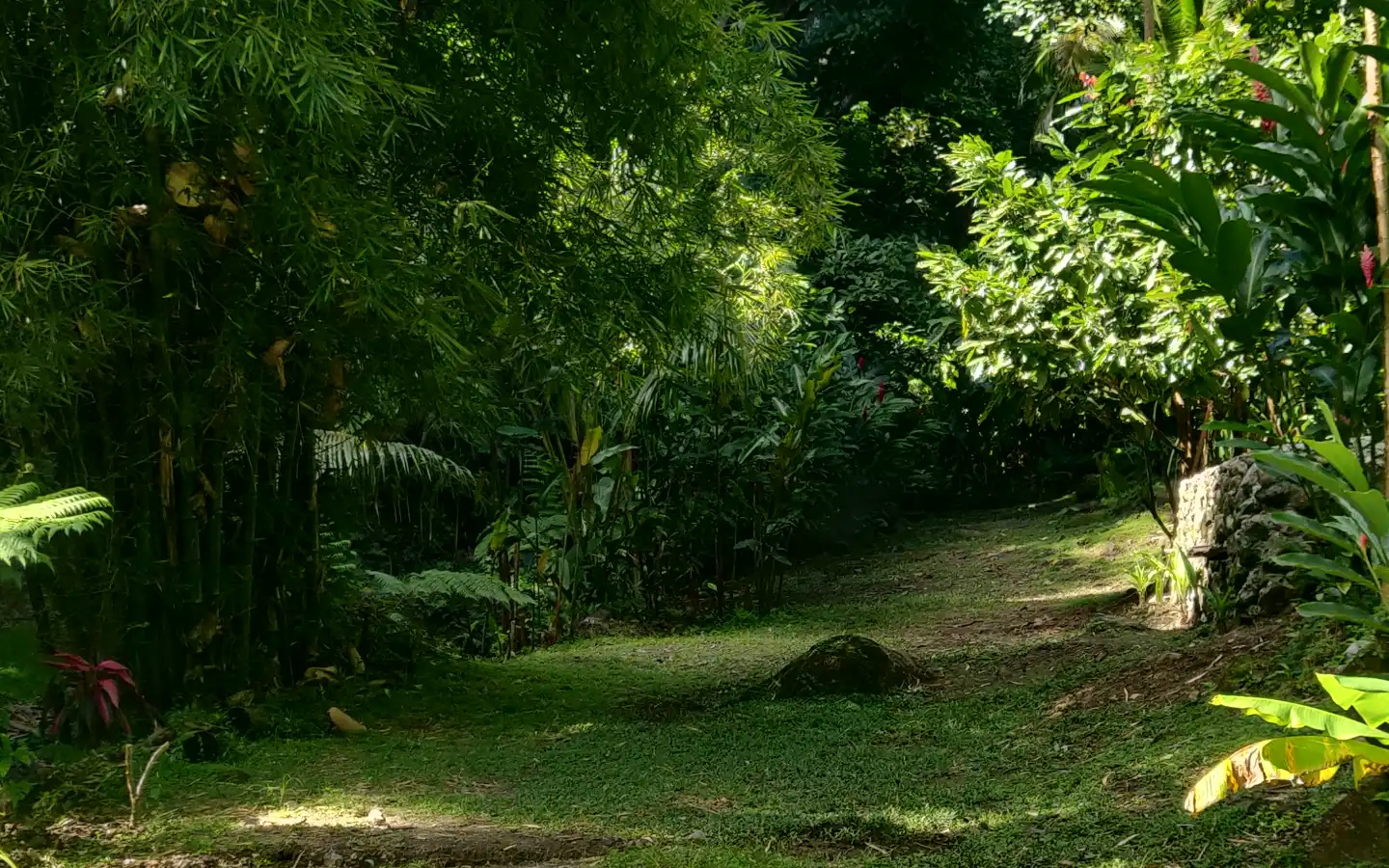 yard_5