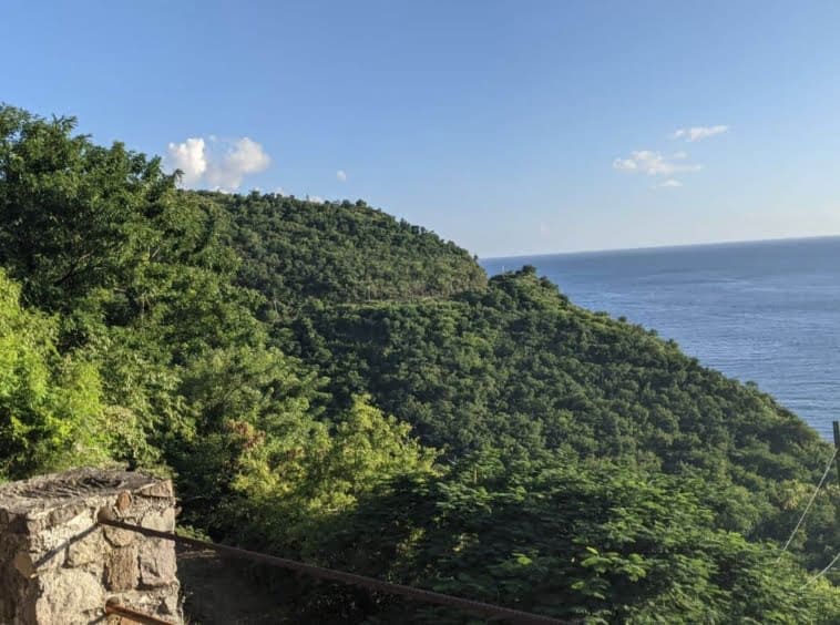 Hilltop Cottage For Sale Above Colihaut | Realty Dominica