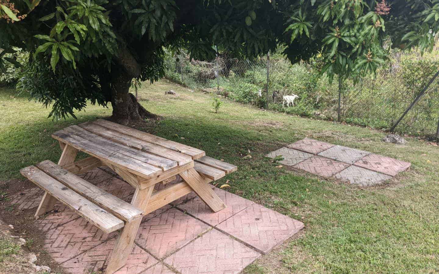 Picnic Table