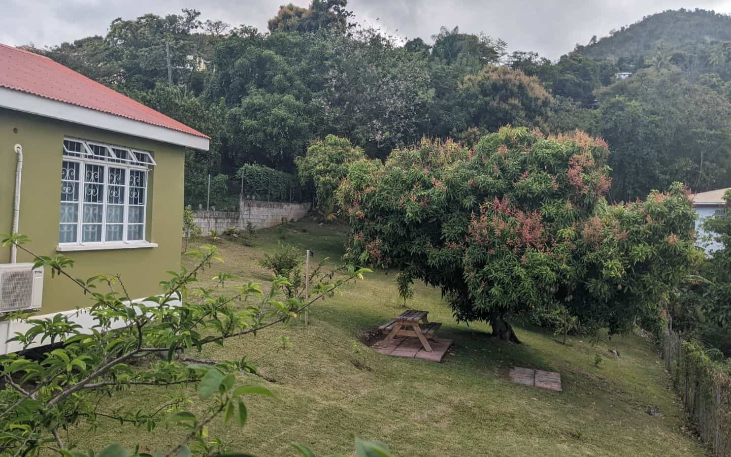 Side of Yard