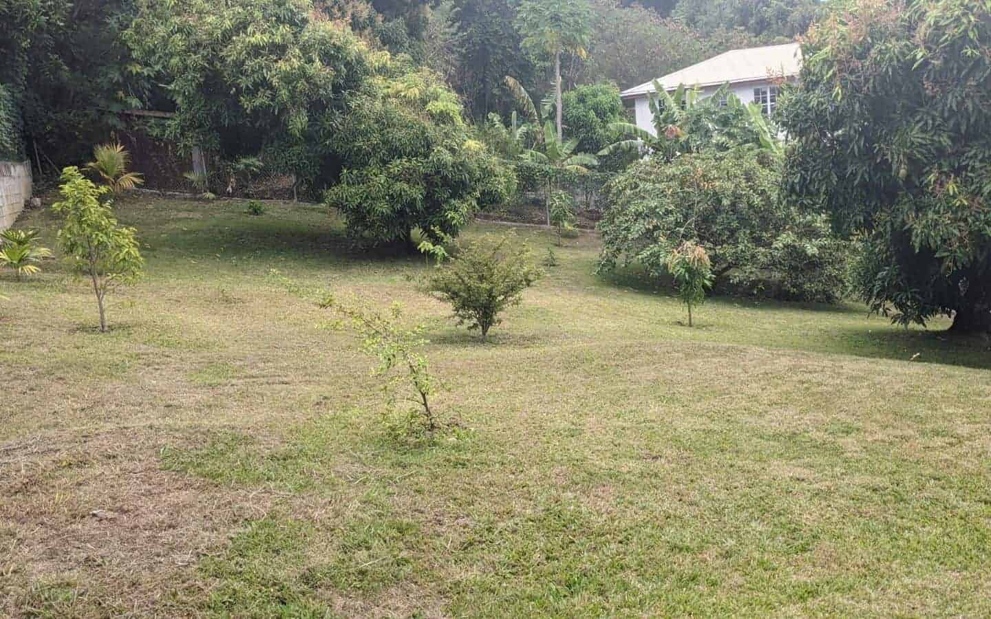 Yard
