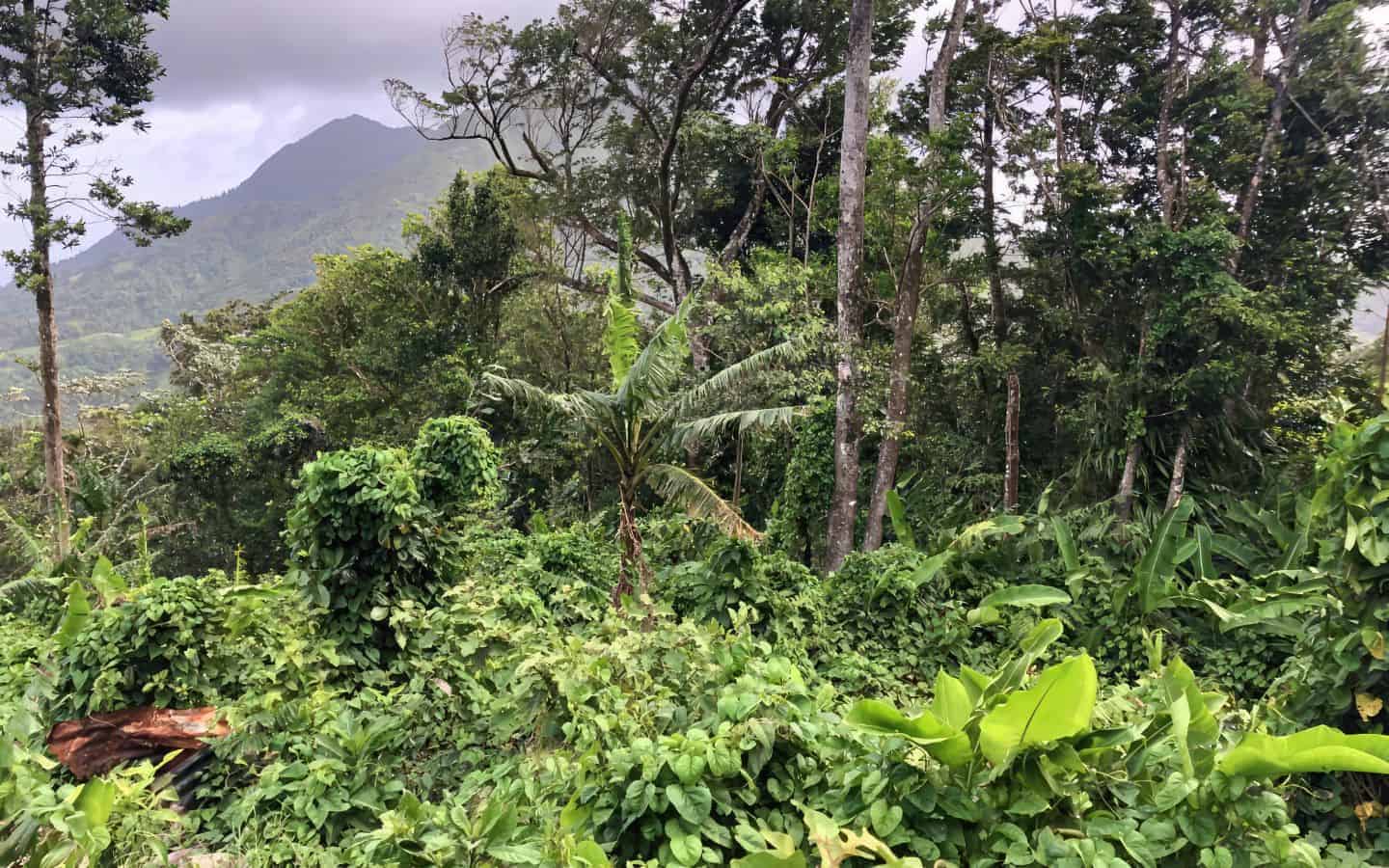 land_for_sale-041