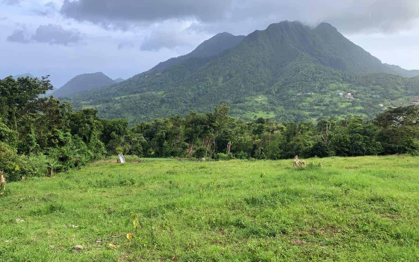 land_for_sale-042