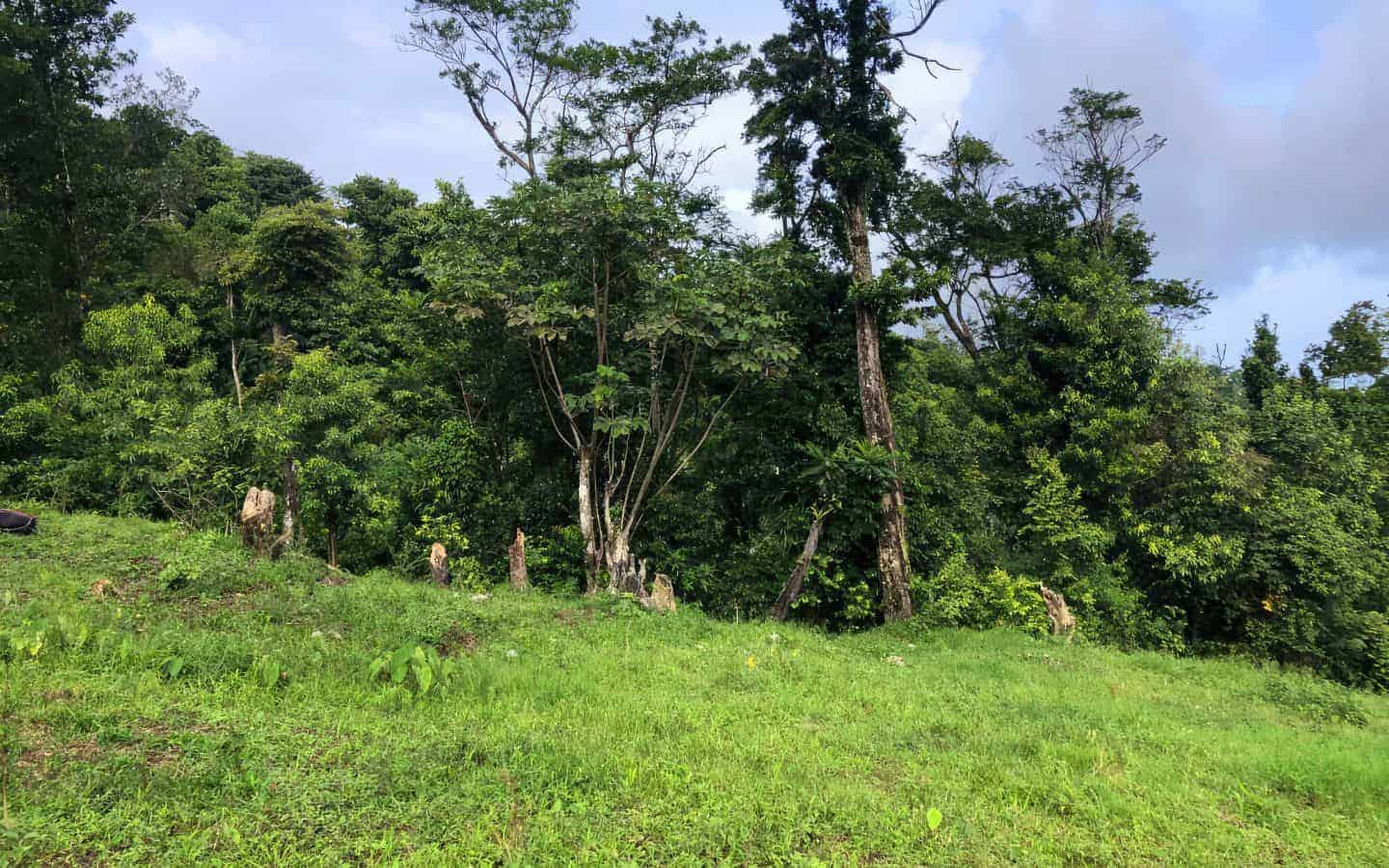 land_for_sale-044