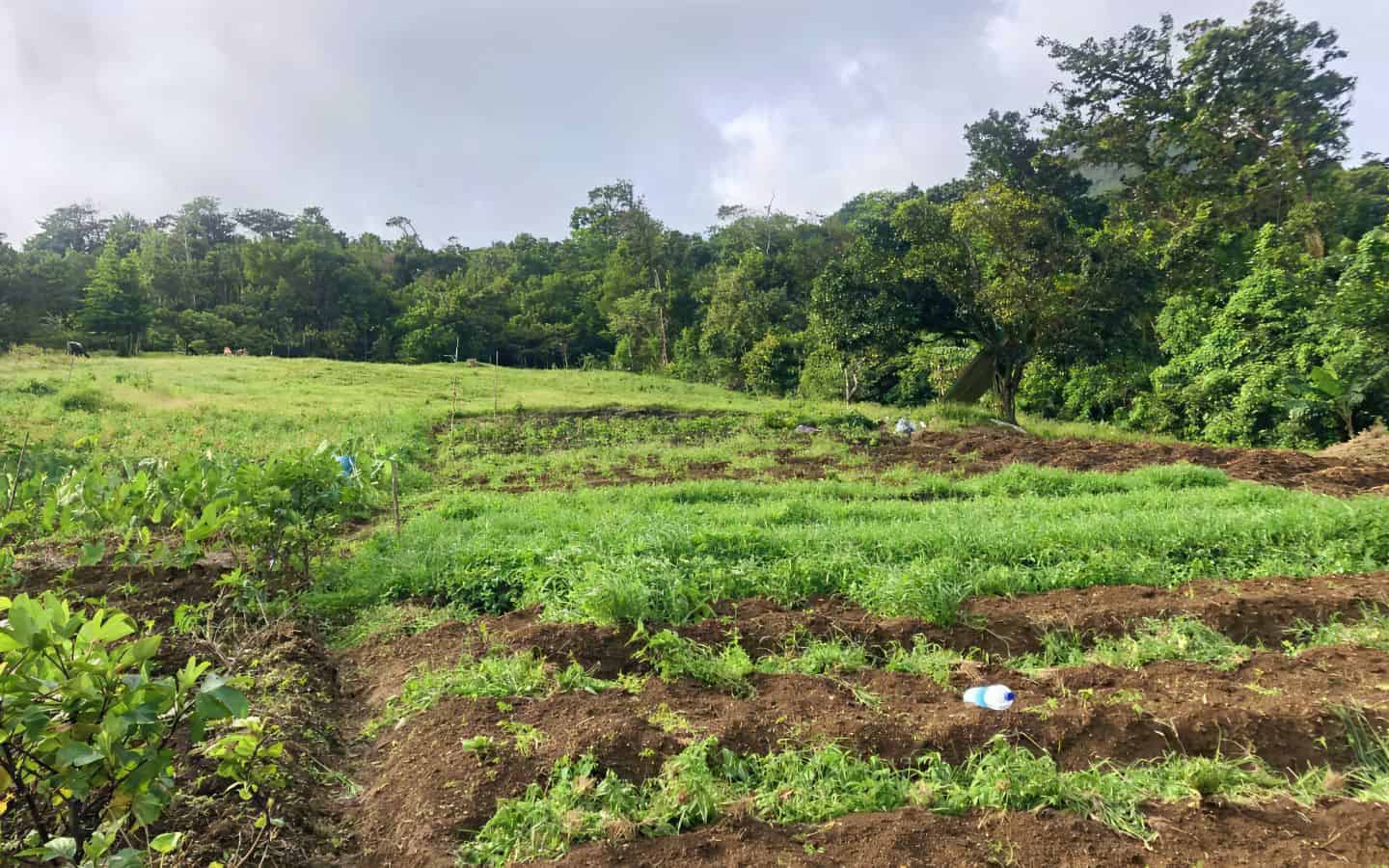 land_for_sale-047