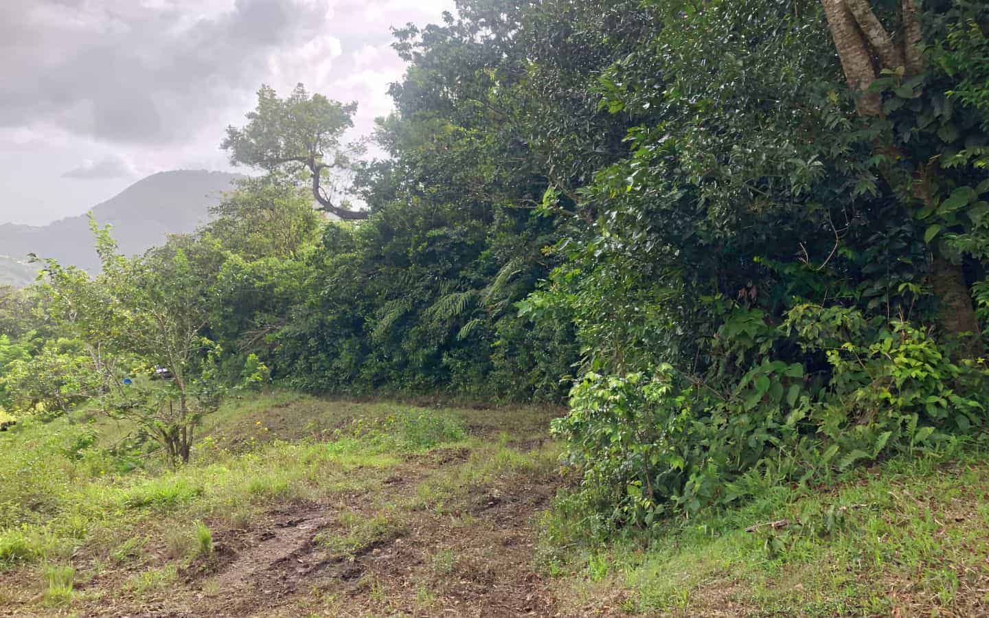 land_for_sale-050