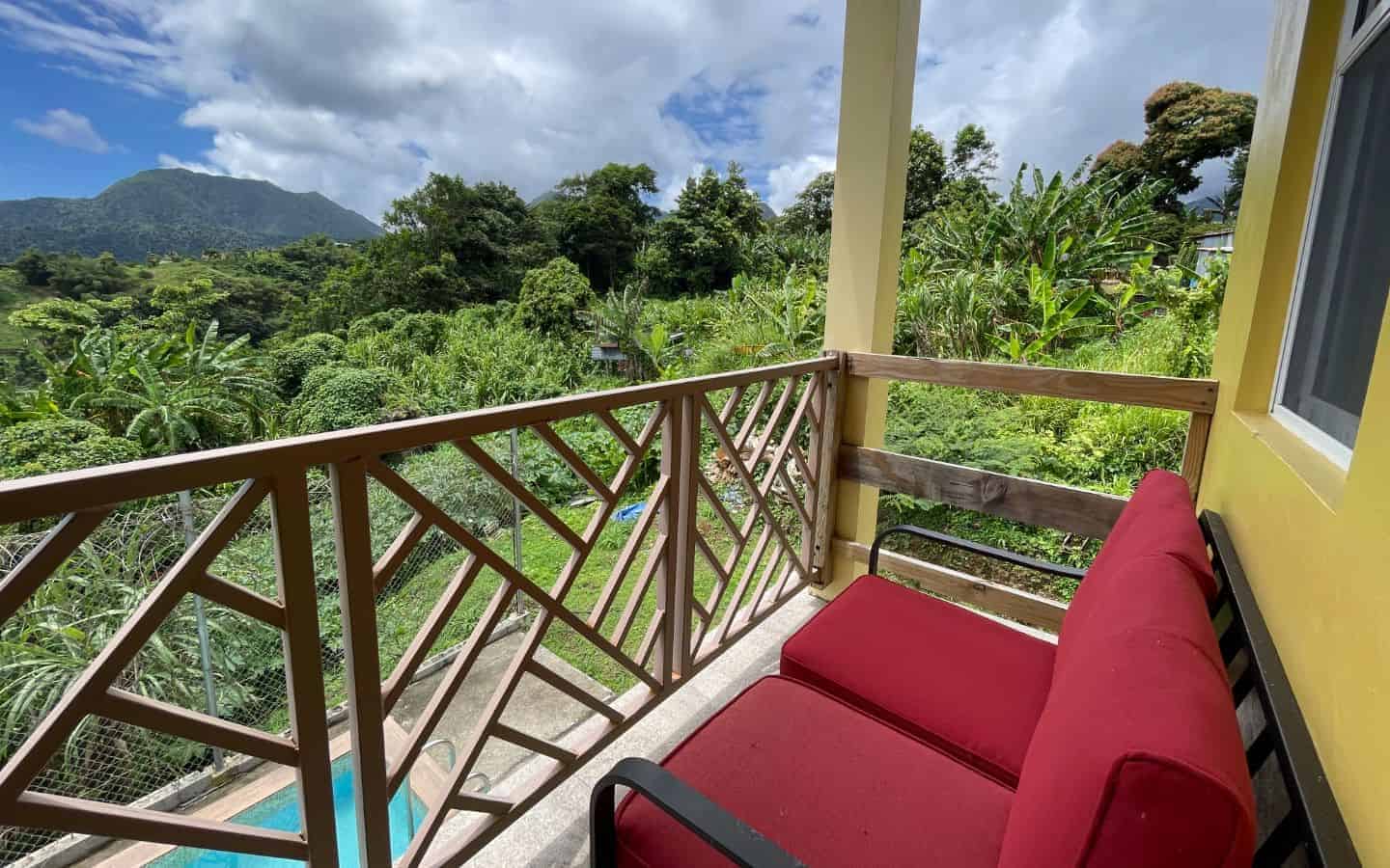 View-1
