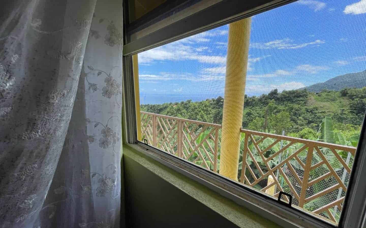 Window-1