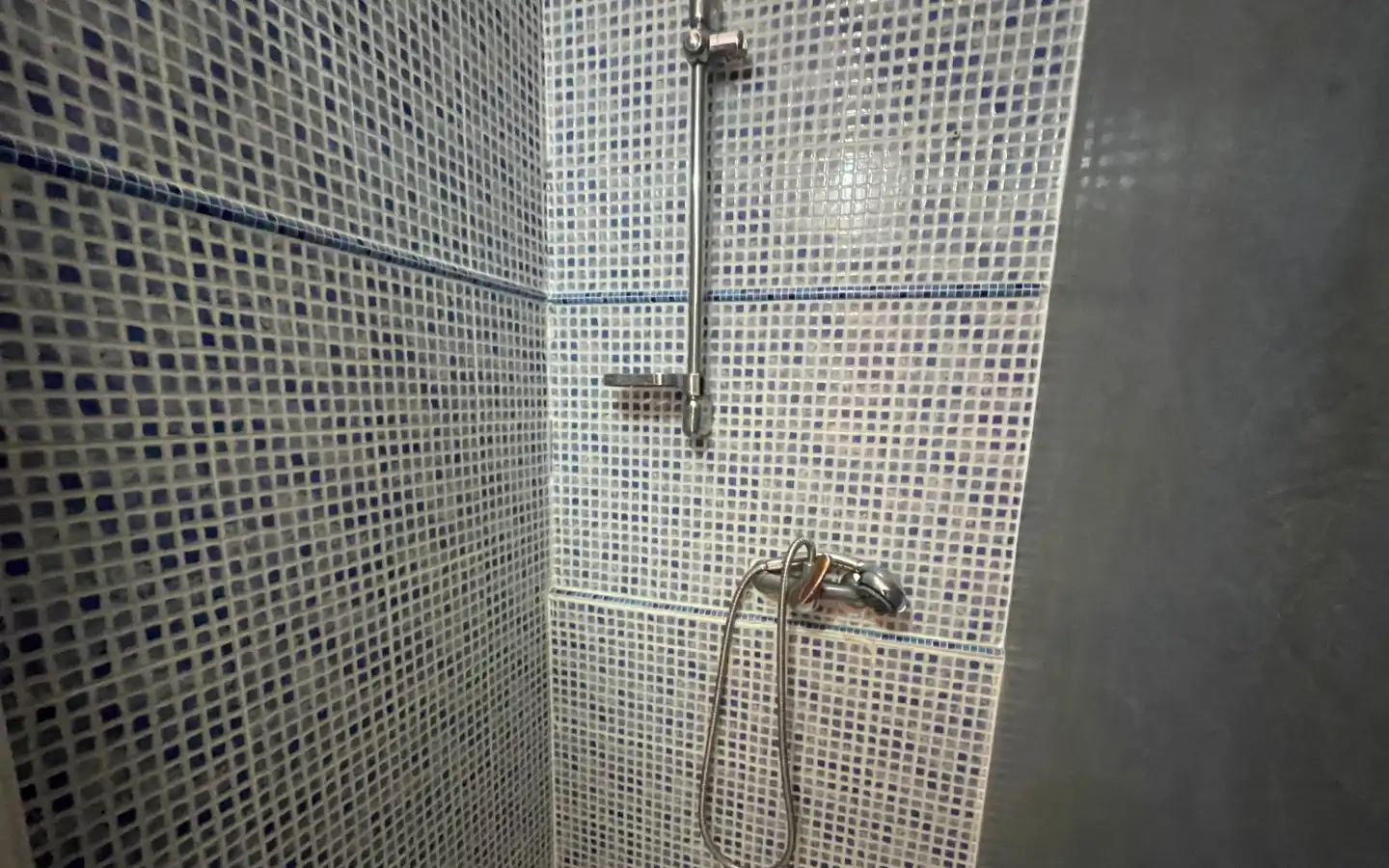 Shower-1a
