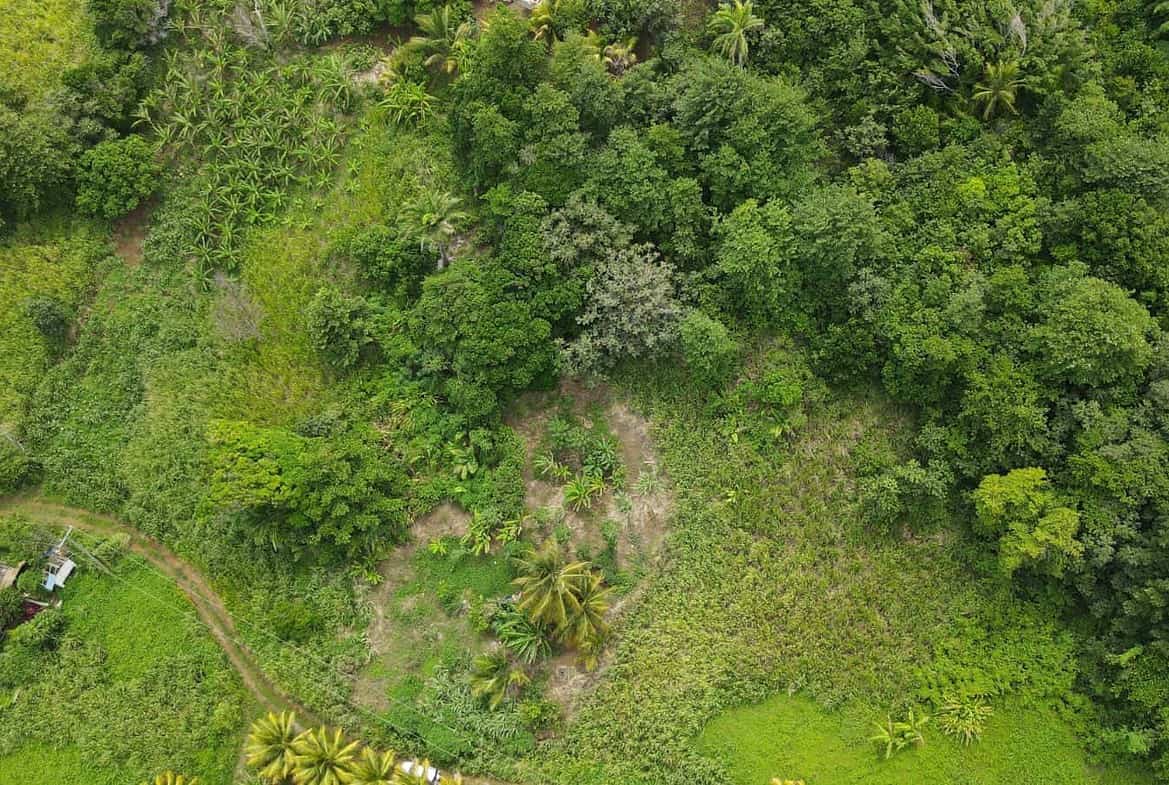 Land for Sale Calibishie