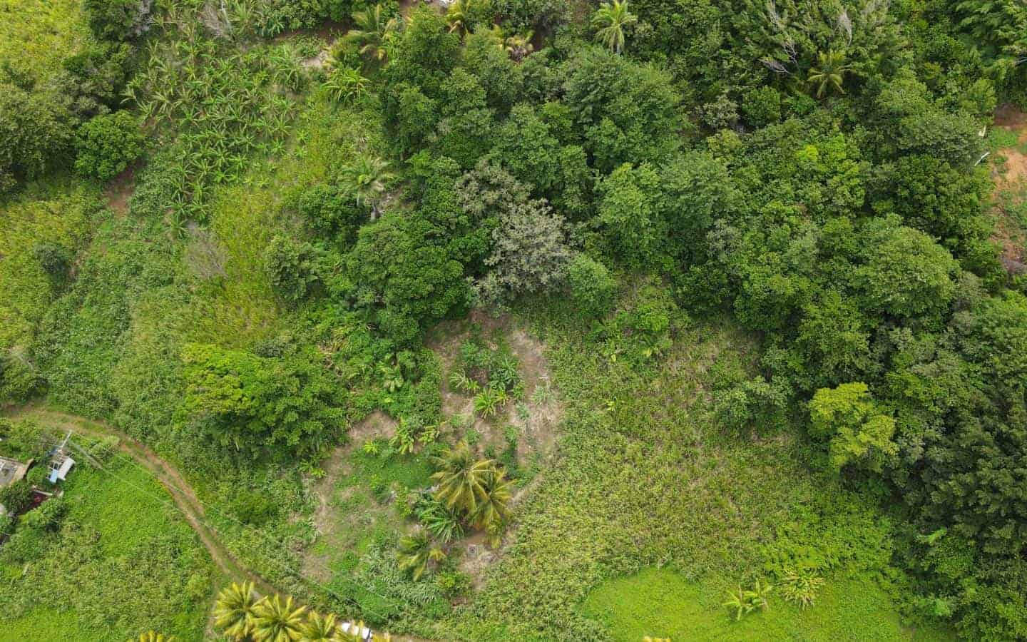 Land for Sale Calibishie