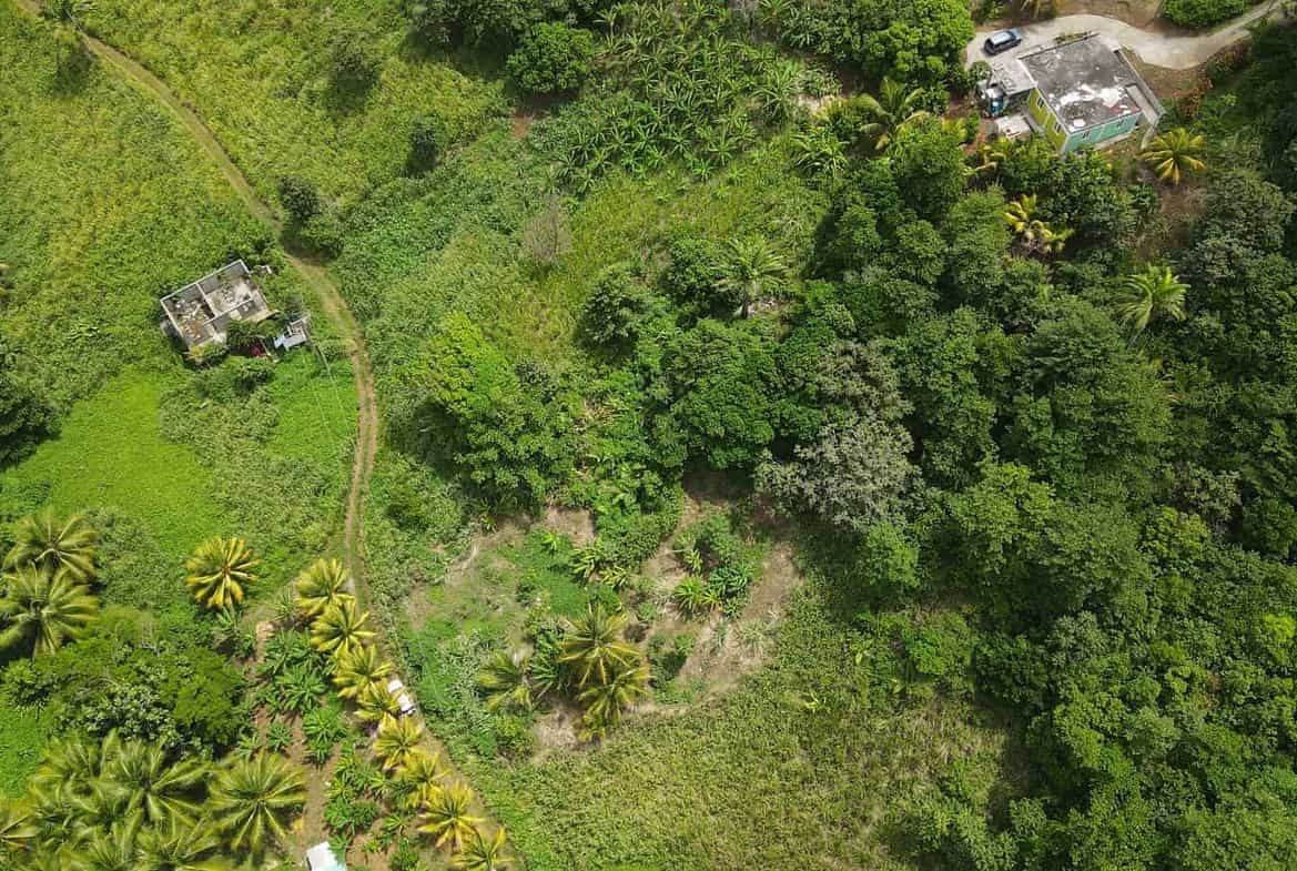Land for Sale Calibishie