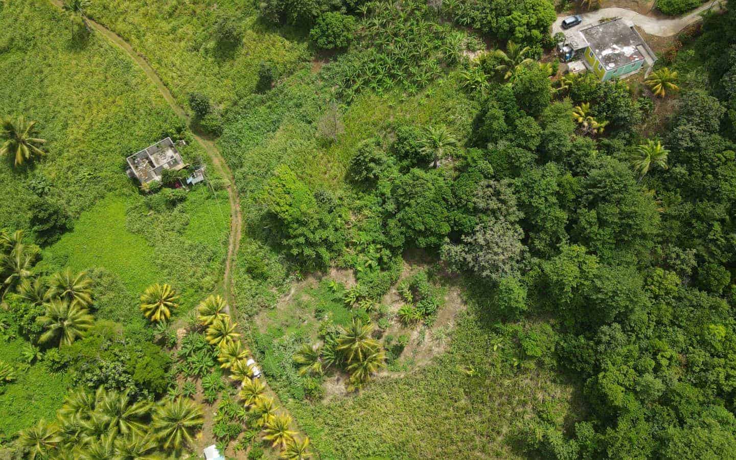 Land for Sale Calibishie