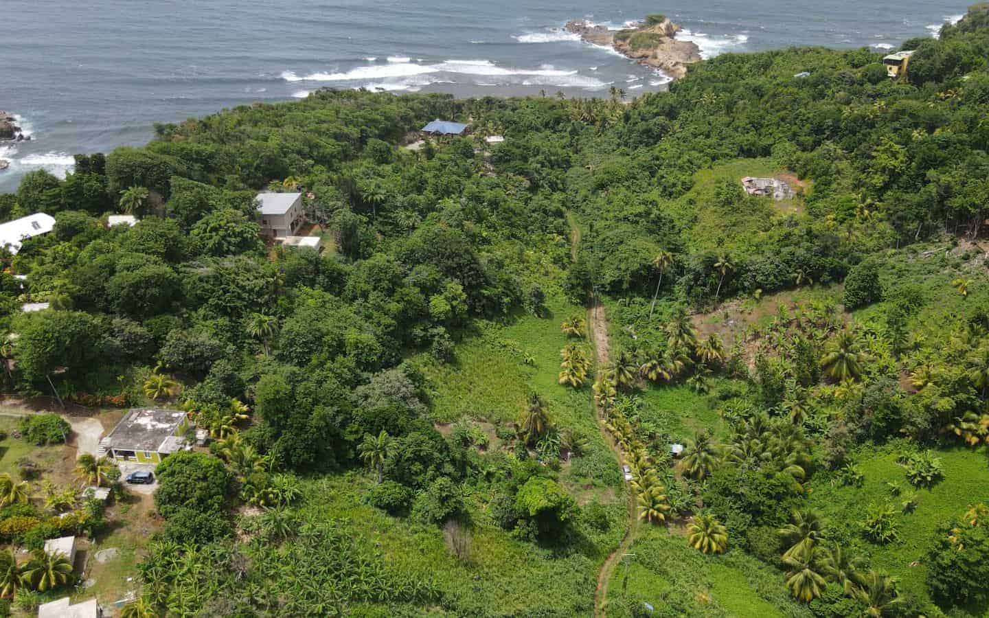 Land for Sale Calibishie