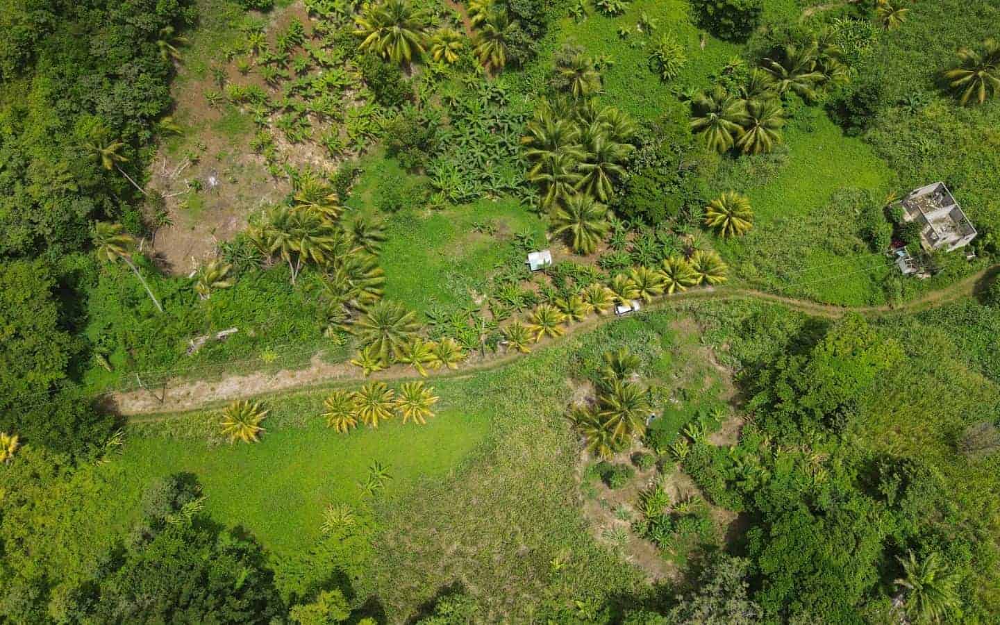 Land for Sale Calibishie