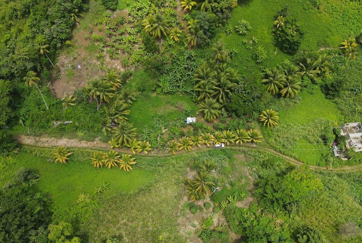 Land for Sale Calibishie