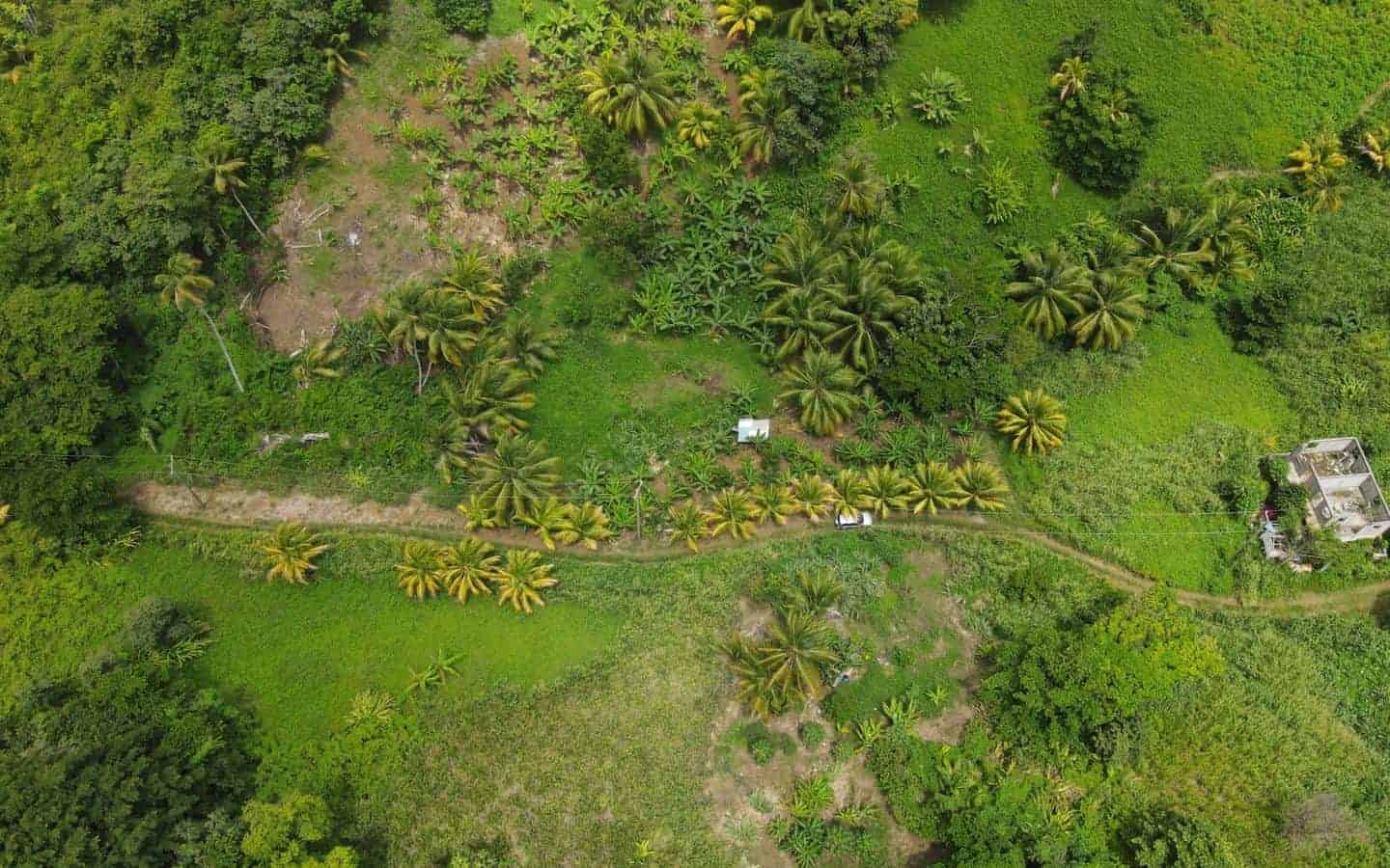 Land for Sale Calibishie