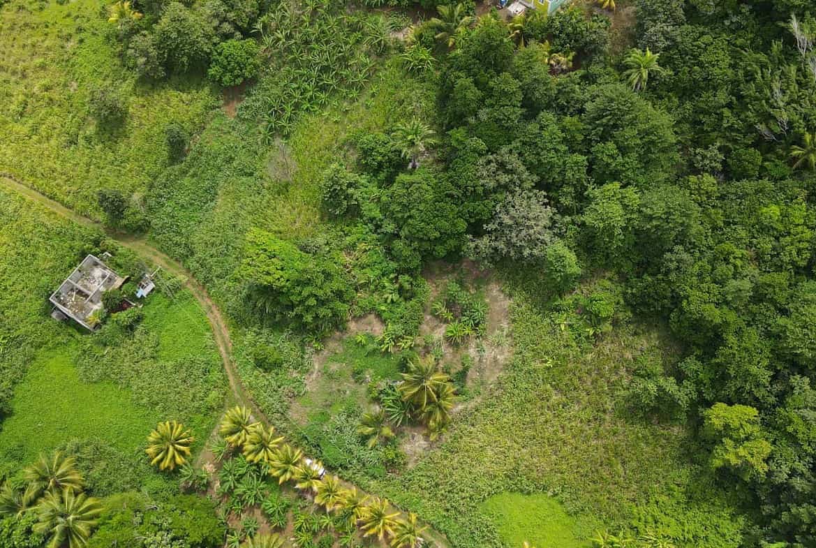 Land for Sale Calibishie