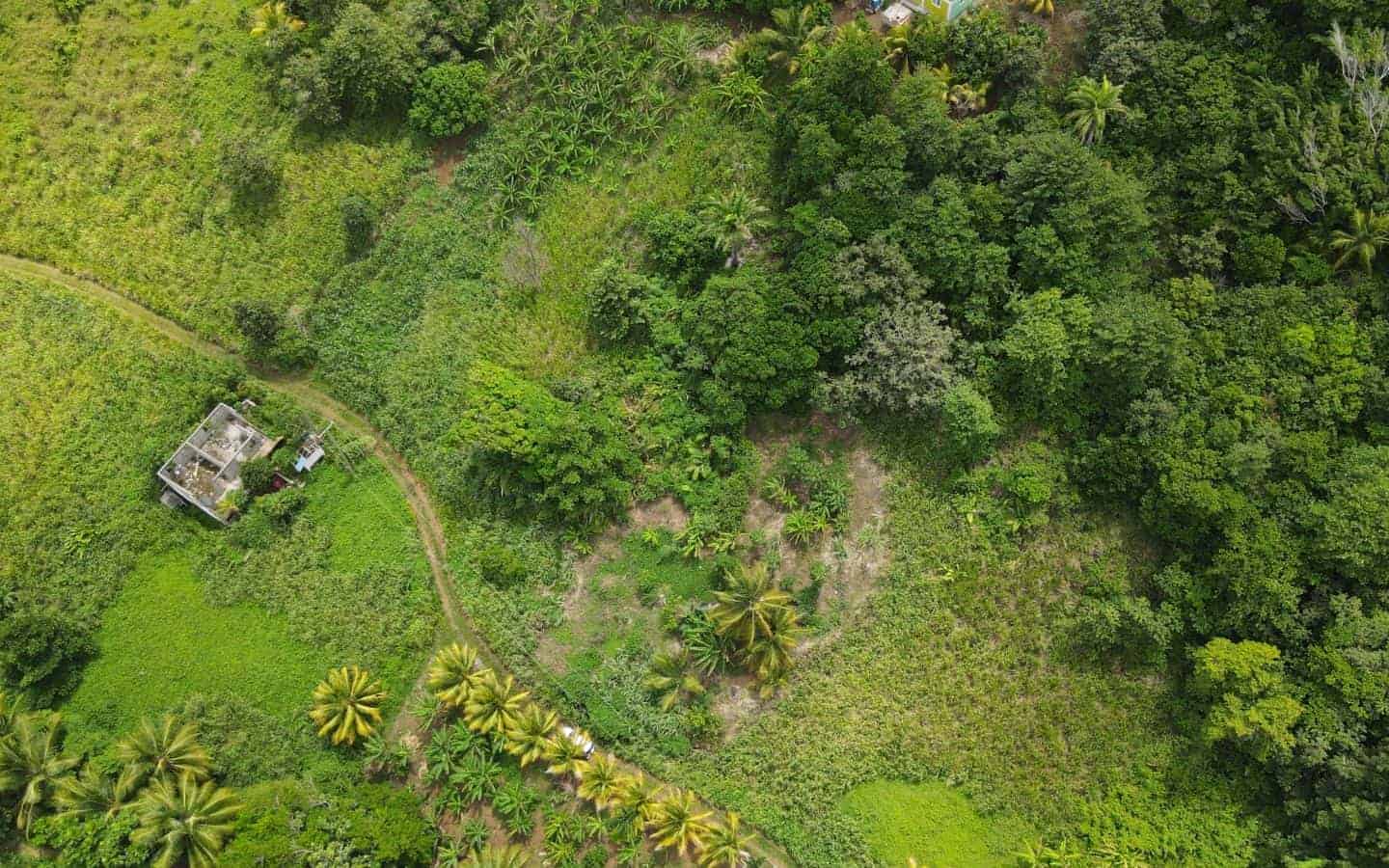 Land for Sale Calibishie