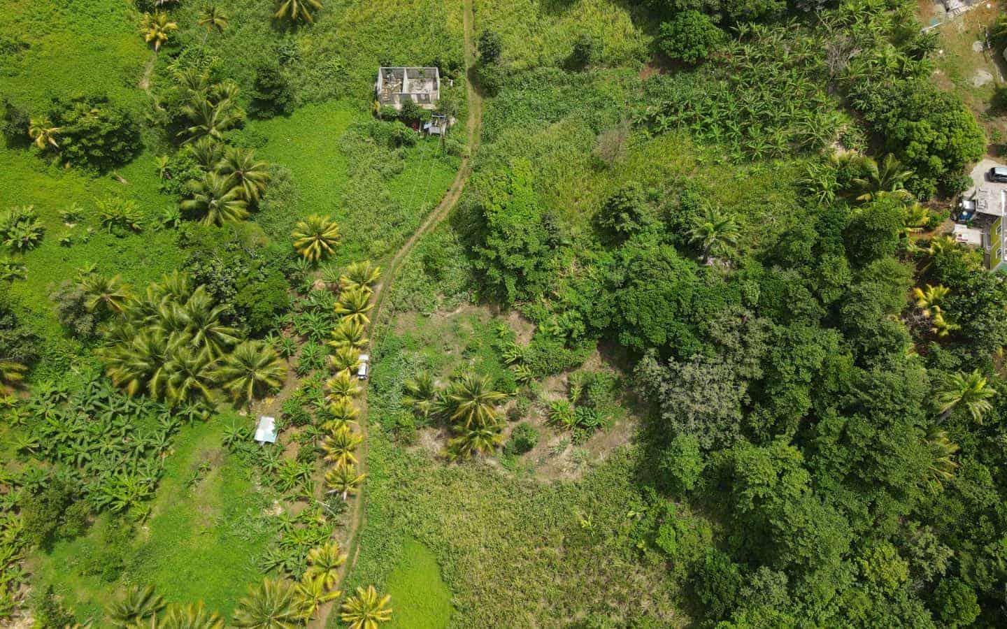 Land for Sale Calibishie
