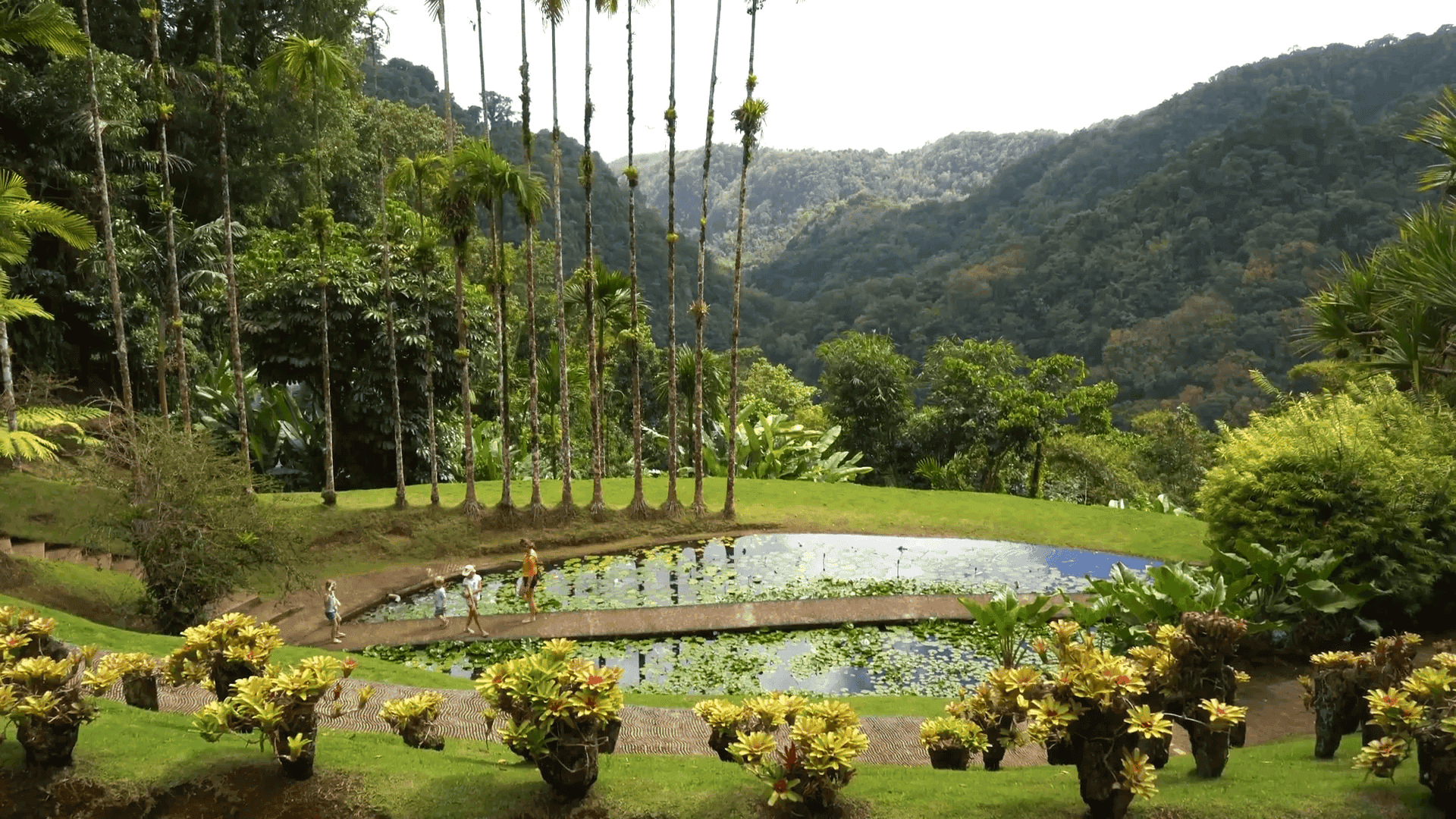 Saying goodbye to Dominica