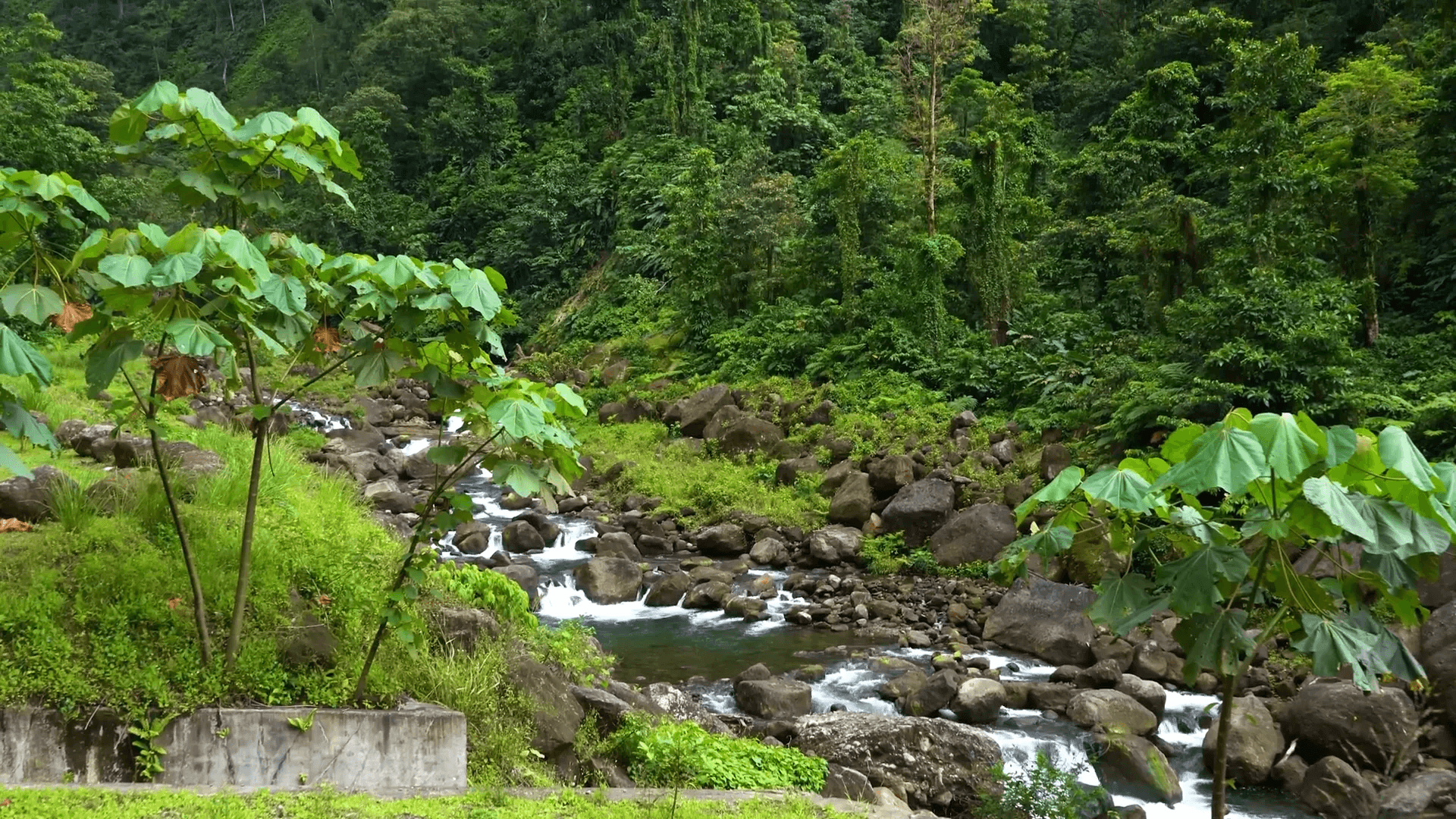 Exploring Trauer Falls