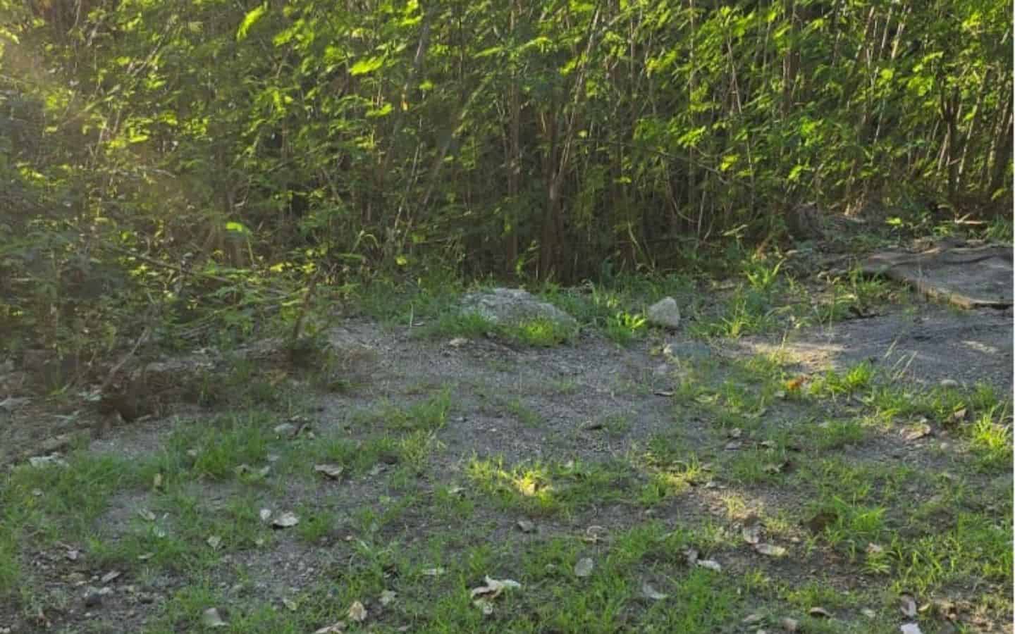 Land-pic1