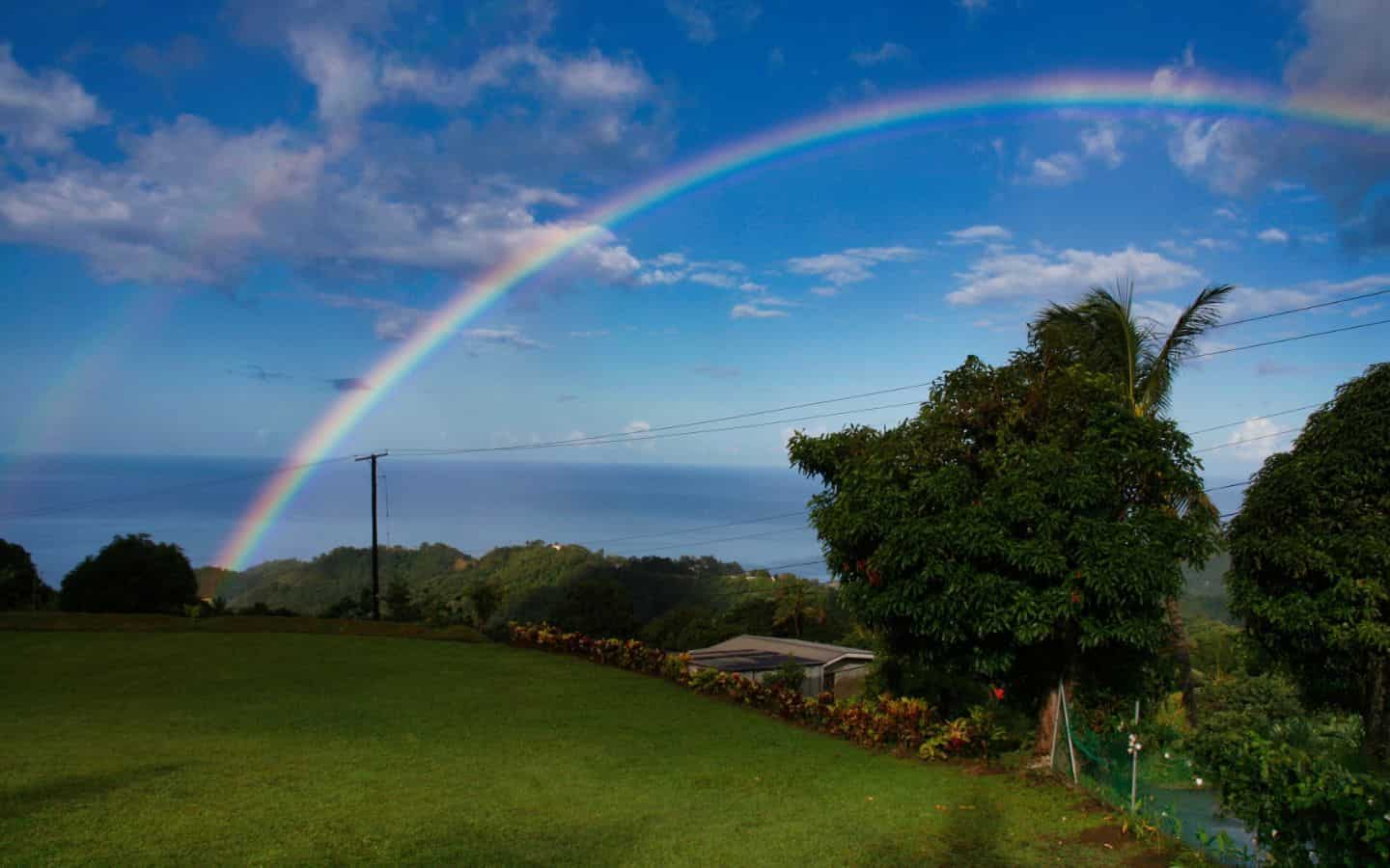 rainbows-000